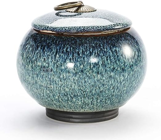 dog urns for ashes amazon