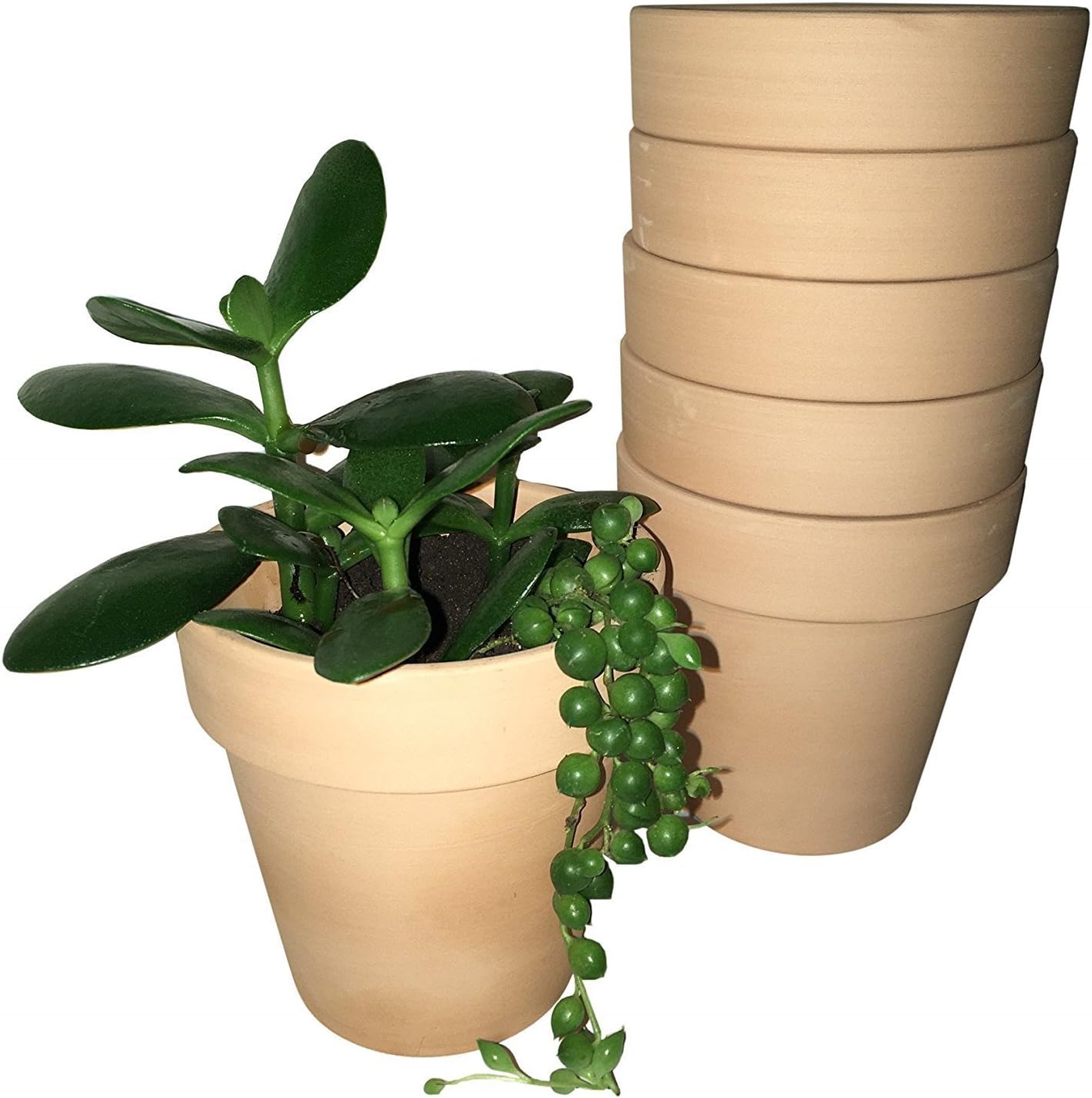 Set of 6 Mini Clay Pots - Small Terracotta Planters 3.5" Flower Pots for Succulents or Cactus Indoor Outdoor Display DIY Craft Projects Wedding Gift