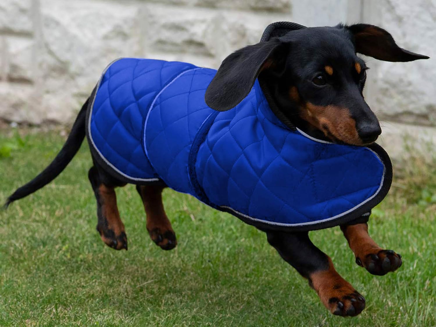 Geyecete Warm Thermal Quilted Dachshund Coat, Dog Winter Coat with Warm Fleece Lining - Image 3