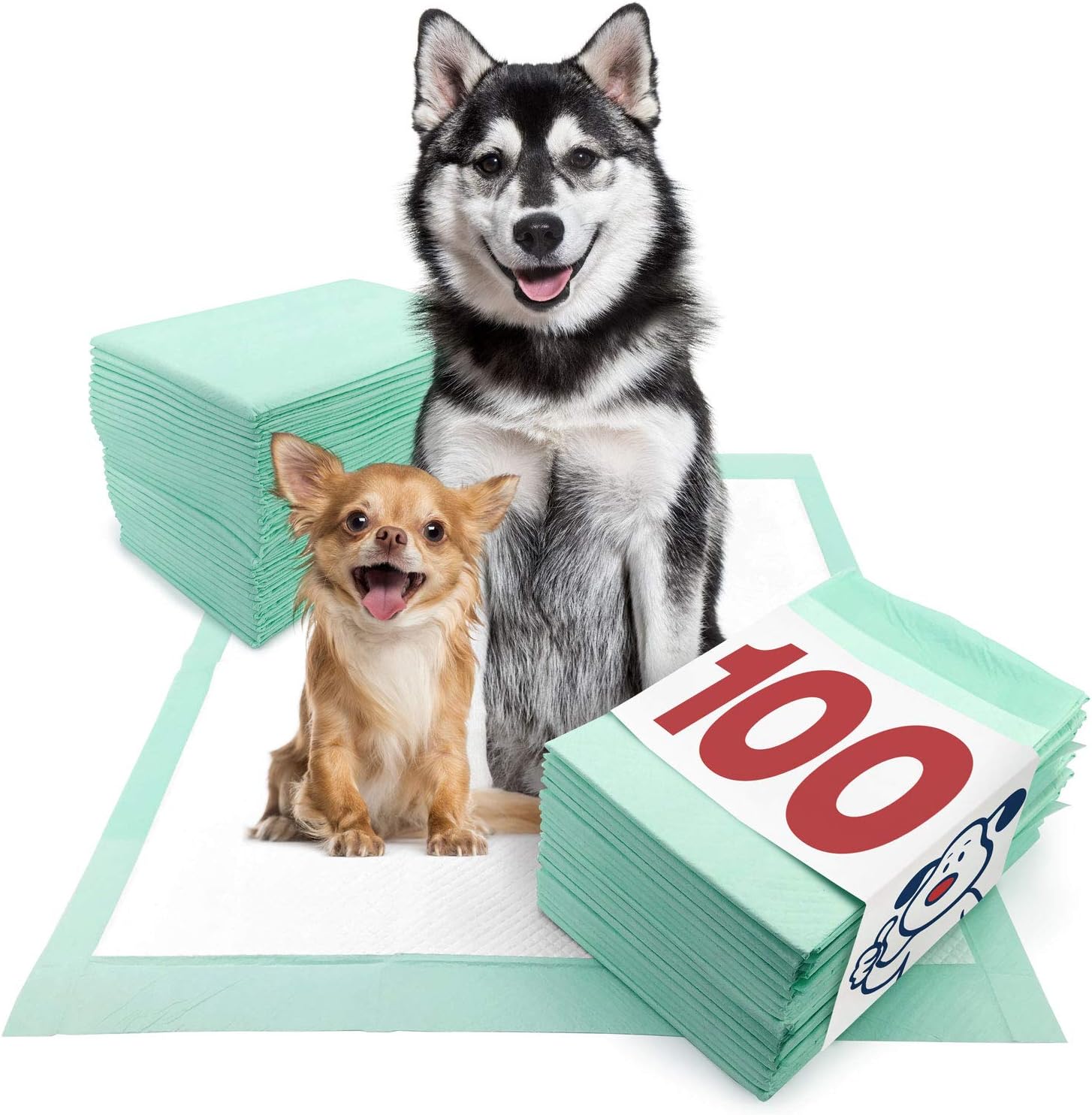 xxl dog training pads