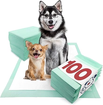 puppy tearing up puppy pads