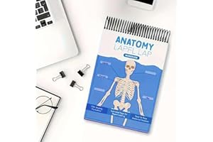Anatomy Medical Students Label Lab Erase School 100 Study Full Color Dry Workbook Human Physiology Pages Interactive Busy Doctors Nurses Learning Notebook Workbook Tools Creative Book Blue Illustrations Gift Doctors Nurses Notebook Labeling Nursing Nurses(B)