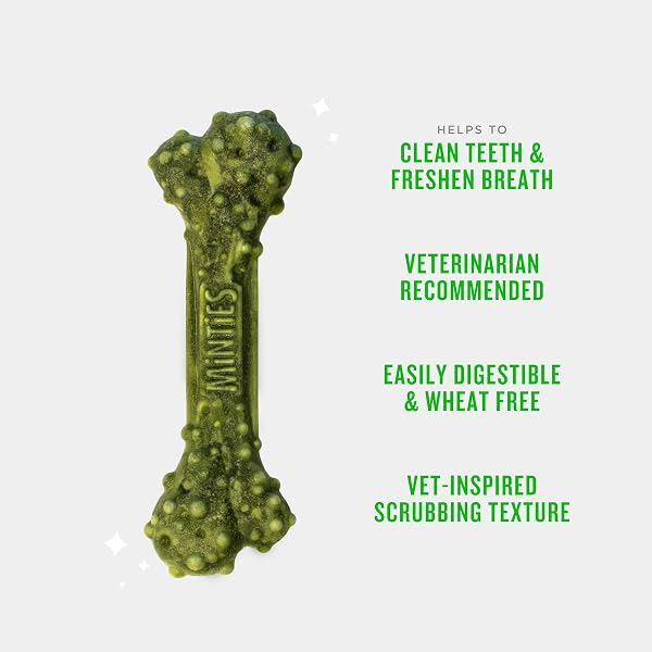 MINTIES DENTAL CHEWS FOR DOGS, 40 COUNT, VET-RECOMMENDED MINT-FLAVORED DENTAL DOG TREATS FOR MEDIUM DOGS, BONES CLEAN TEETH, FIGHT BAD BREATH, AND REMOVES PLAQUE AND TARTAR