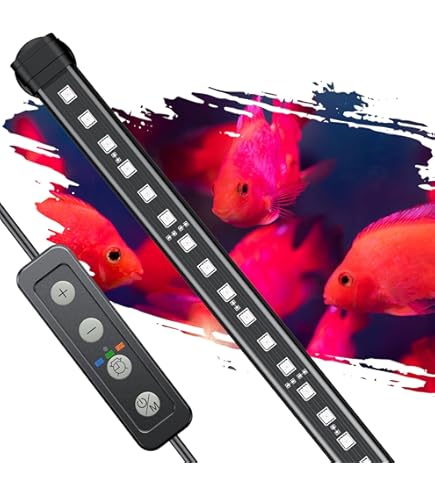 Amazon.com: Mayin Arowana Tanning Light Aquarium Special Color