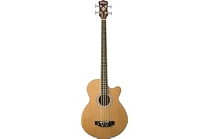 Washburn AB5K-A 5-String Acoustic Guitar