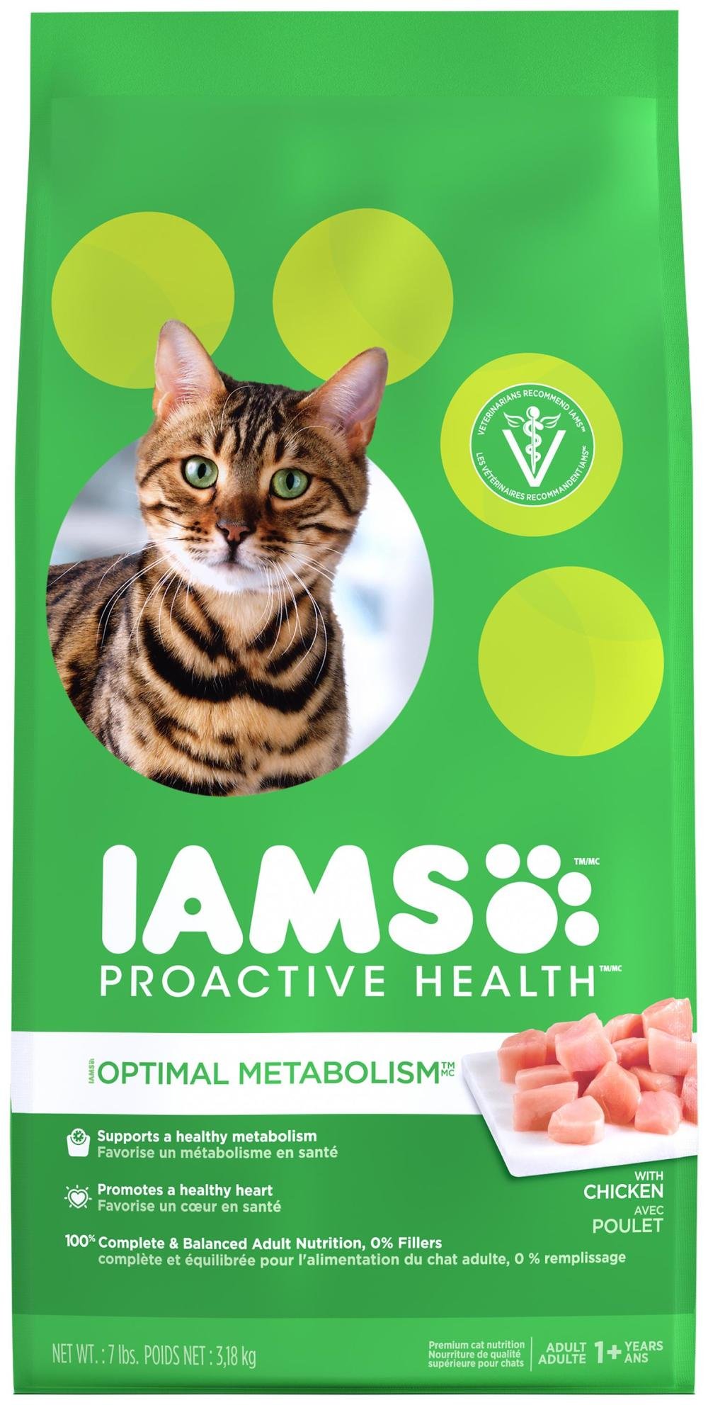 Chat De Bengal Caractère Prix Et Physique Lebernard