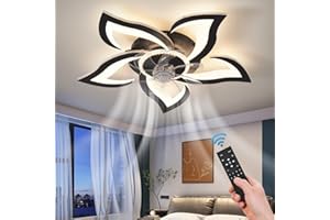 ZHMDJDSH 26" Geometric Ceiling Fan with Lights, 6 Speeds 3 Colors Ceiling Fan with Light Remote Control, Black Low Profile Fl