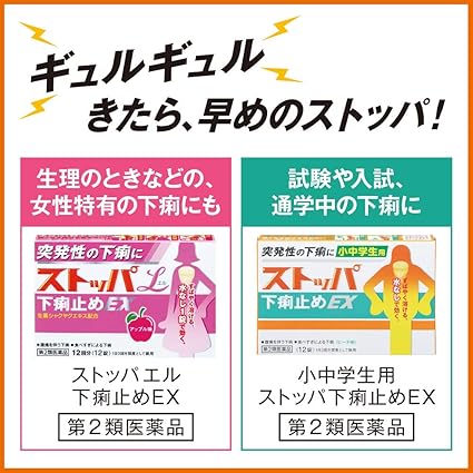 第2類医薬品 ストッパ下痢止めex 24錠