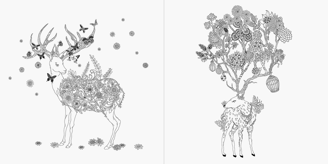 Mua Dream ゆめと森のファンタジーぬり絵 Tren Amazon Nhật Chinh Hang 2021 Fado