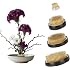 4 Pcs Flower Frog Pin Holder 3 Inch,2 Inch,1 Inch Set Ikebana Frog Floral Kenzan Arrangement Tool for Vases Centerpieces Roun