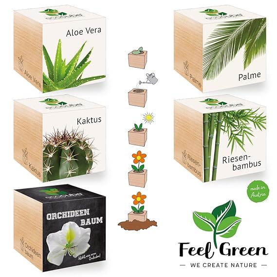 Ecocube Exotics-Set Mit 5 Sorten – 25% Sparen Im Paket, Pflanzen Im Holzwürfel, Nachhaltige Geschenkidee, Grow Your Own/Anzuc