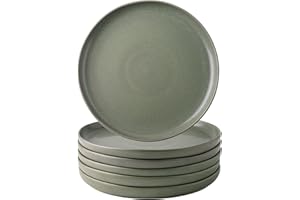AmorArc Ceramic Dinner Plates Set of 6, Wavy Rim 10.5 Inch Stoneware Dish Set, Dinnerware Plates for Kitchen-Microwave&Dishwa