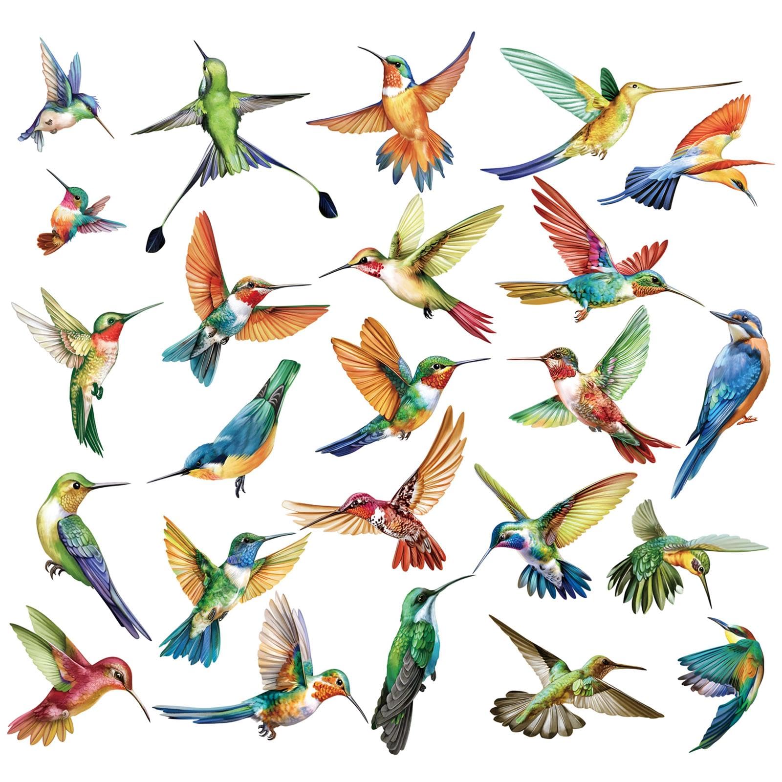 decalmile 25 pcs Spring Summer Hummingbird Double Sided Window Stickers for Glass Bird Alert Window Clings Anti-Collision Window Decal Stickers
