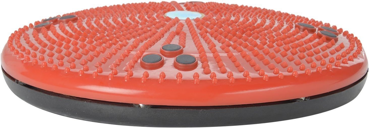 Super India Store Ancs Acupressure Twister