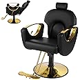 Hicomony Barber Salon Chair for Hair Stylist, Styling Hair Salon Chair with Professional Hydraulic PUM, Multi-Function Shampoo Beauty Brading Hairdresser Armchair (Black)