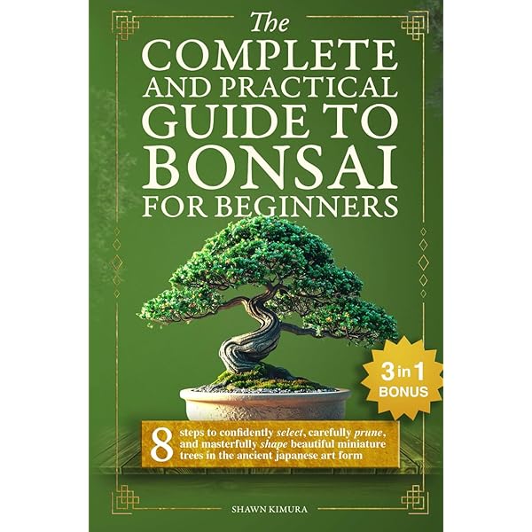 order bonsai tree online Bonsai Tree Grow Kit, 4 Varieties, Non-GMO Seeds main image 0