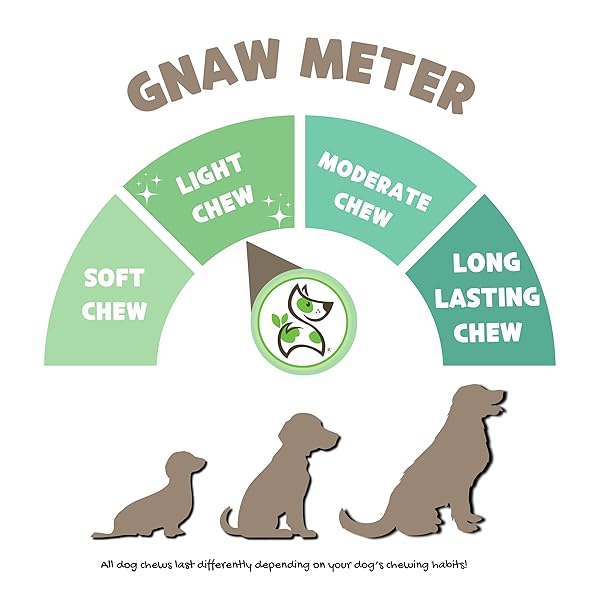 NATURE GNAWS USA TURKEY TENDONS FOR DOGS (4OZ) – DELICIOUS GRAIN FREE REWARD SNACK FOR SMALL, MEDIUM & LARGE BREEDS – PREMIUM NATURAL DOG CHEW TREATS
