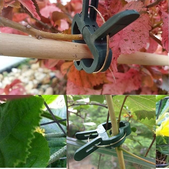 szdc88 Jardín Clip Traje Plástico Flor Planta Palanca Loop Pinza ...