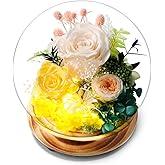Long-Lasting Real Flowers,Preserved Rose Glass Dome with LED Light, Mixed Champagne and White Roses, Wooden Base, Unique Floral Gift for You to Send Love for All Occasions, for Indoor Decoration