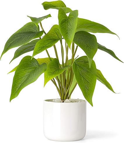 Amazon Mkono 人工植物 セラミックポット入り 高さ11インチ 卓上フェイク鉢植え植物 装飾プラスチック フェイクグリーンリーフ植物 モダンホワイトプランター付き 屋内 ホーム オフィス 装飾 鉢 人工観葉植物 オンライン通販