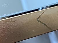 Review Image by Amazon Customer