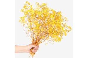 SONGJUM Dried Baby's Breath Flowers Bouquet 2000+ Natural Dried Flowers Baby's Breath Real Gypsophila Branches for Wedding Table Vase Party Garden DIY Wreath Floral Home Decor（Yellow）