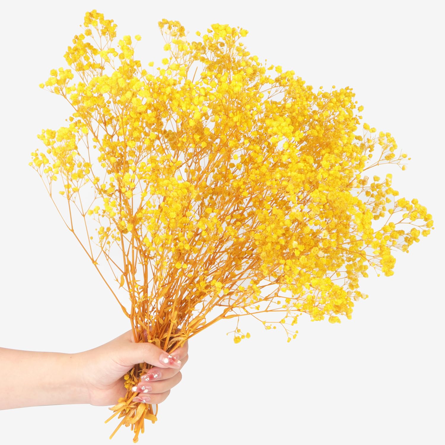 Dried Baby's Breath Flowers Bouquet Natural Dried Flowers Baby's Breath Real Gypsophila Branches for Wedding Table Vase Party Garden DIY Wreath Floral Home Decor（Yellow）