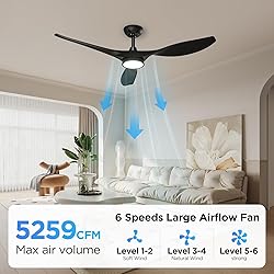 Roomratv Ceiling Fans with Lights, 52 Inch Ceiling