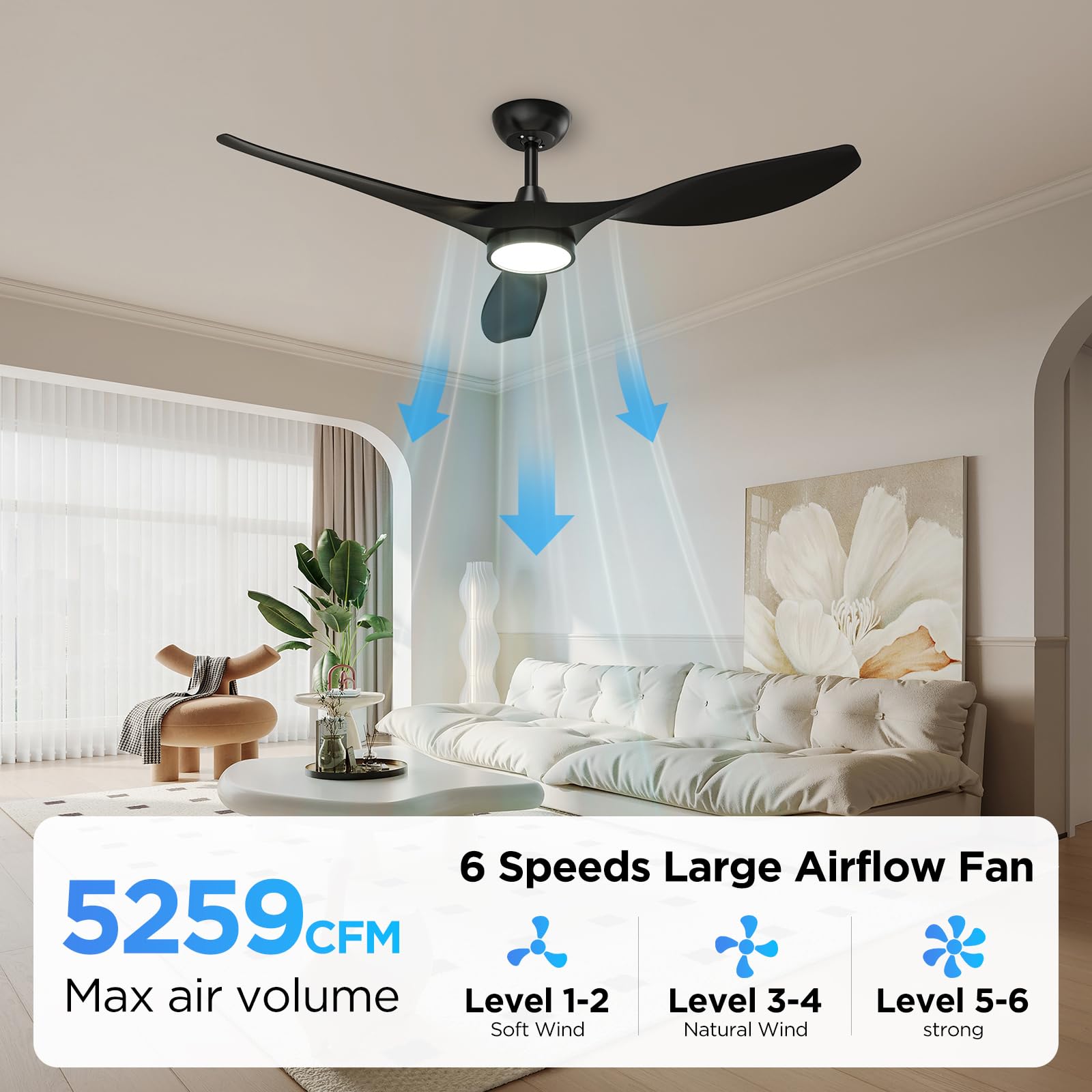 Roomratv Ceiling Fans with Lights, 52 Inch Ceiling Fan with Light and Remote, Black Ceiling Fan, DC Motor, 6 Speed, Quiet Noiseless, 3 CCT, Reversible, Plastic Blades, Indoor for Living Room Bedroom