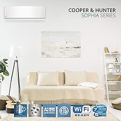 Cooper & Hunter 30,000 BTU Mini Split AC/Heating
