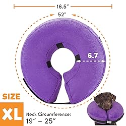 BENCMATE Protective Inflatable Collar for Dogs and