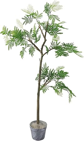 Amazon Co Jp 観葉植物 フェイクグリーン 人工観葉植物 エバーフレッシュ 店舗装飾 グリーン インテリア エバーフレッシュ おもちゃ