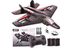 VITCHELO Advanced 2024 Remote Control Airplane for Adults, RC Fighter Jet 2.4 GHZ 2 Channels, RC Remote Control Jet with Automatic Balance Gyro for Outdoor Play, Learning Tool & Gift for Various Occasions