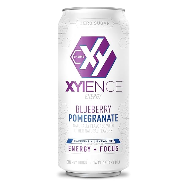 XYIENCE BLUEBERRY POMEGRANATE ENERGY DRINK, 16 FL OZ CAN (PACK OF 12)