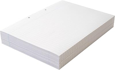 SUMMIT A4 Loose Leaf Paper 8mm Ruled 2 Holes Header Footer 500 Sheets