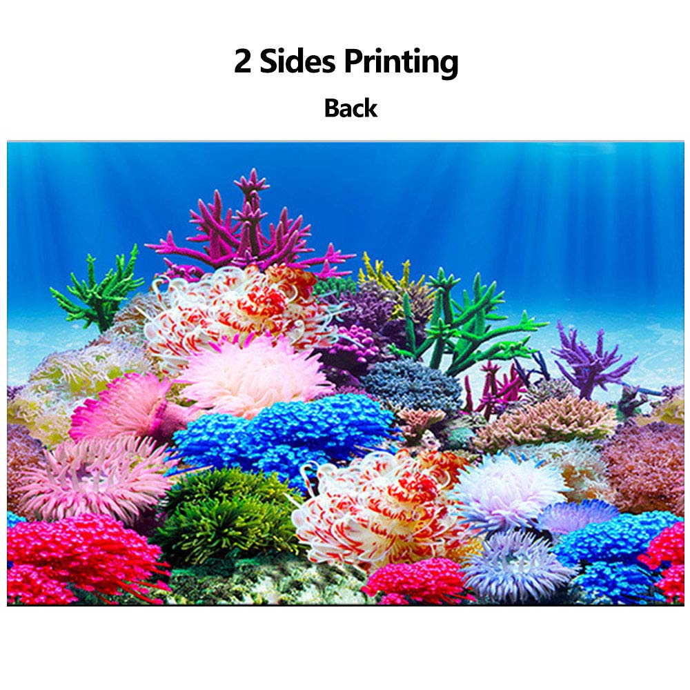 Double Sides Wallpaper Fish Tank Backdrop Water Plants & Coral Reef