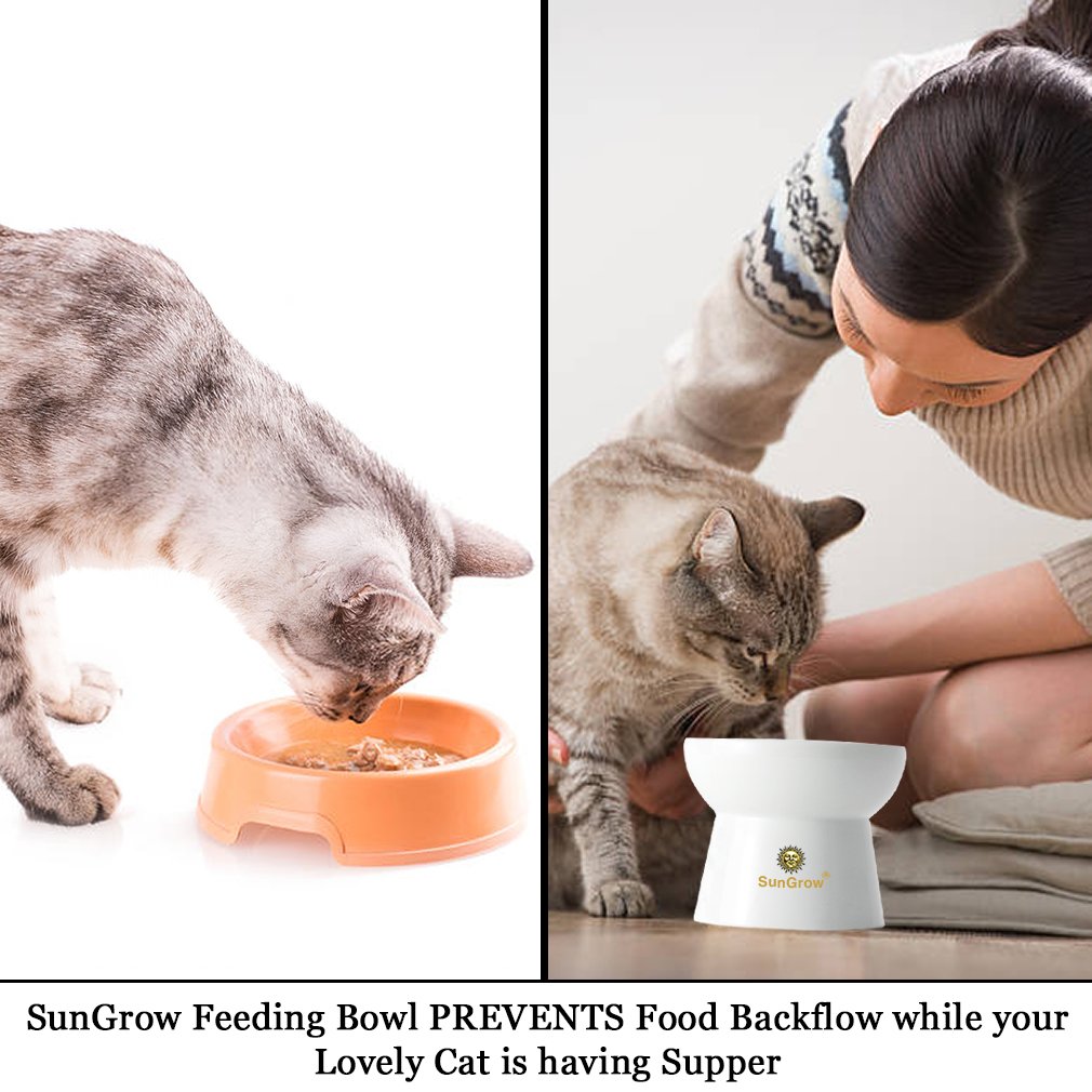 Cat bowl with stand --- Suitable eating height for pets – Easy cleaning for you – Eco-friendly, raised food bowl – Stress-free meal time for your cats - Stoneware feeding station