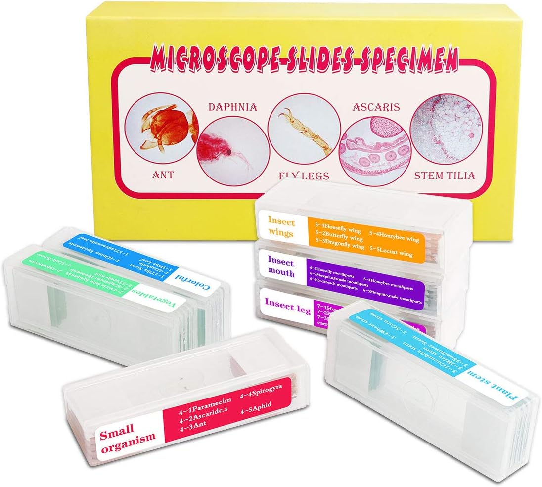 Bysameyee 35PCS Prepared Microscope Slides with 7 Types Specimens