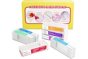 Bysameyee 35PCS Prepared Microscope Slides with 7 Types Specimens, Insect/Plant Glass Sample Slide for Kids Adults Family Preschool Education Scientific Enlightenment