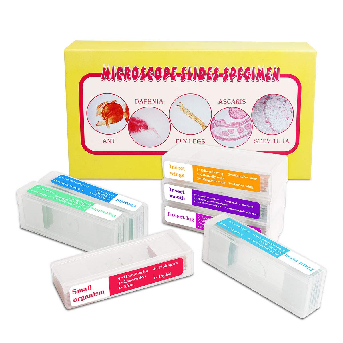 Bysameyee 35PCS Prepared Microscope Slides with 7 Types Specimens, Insect/Plant Glass Sample Slide for Adults Family Preschool Education Scientific Enlightenment