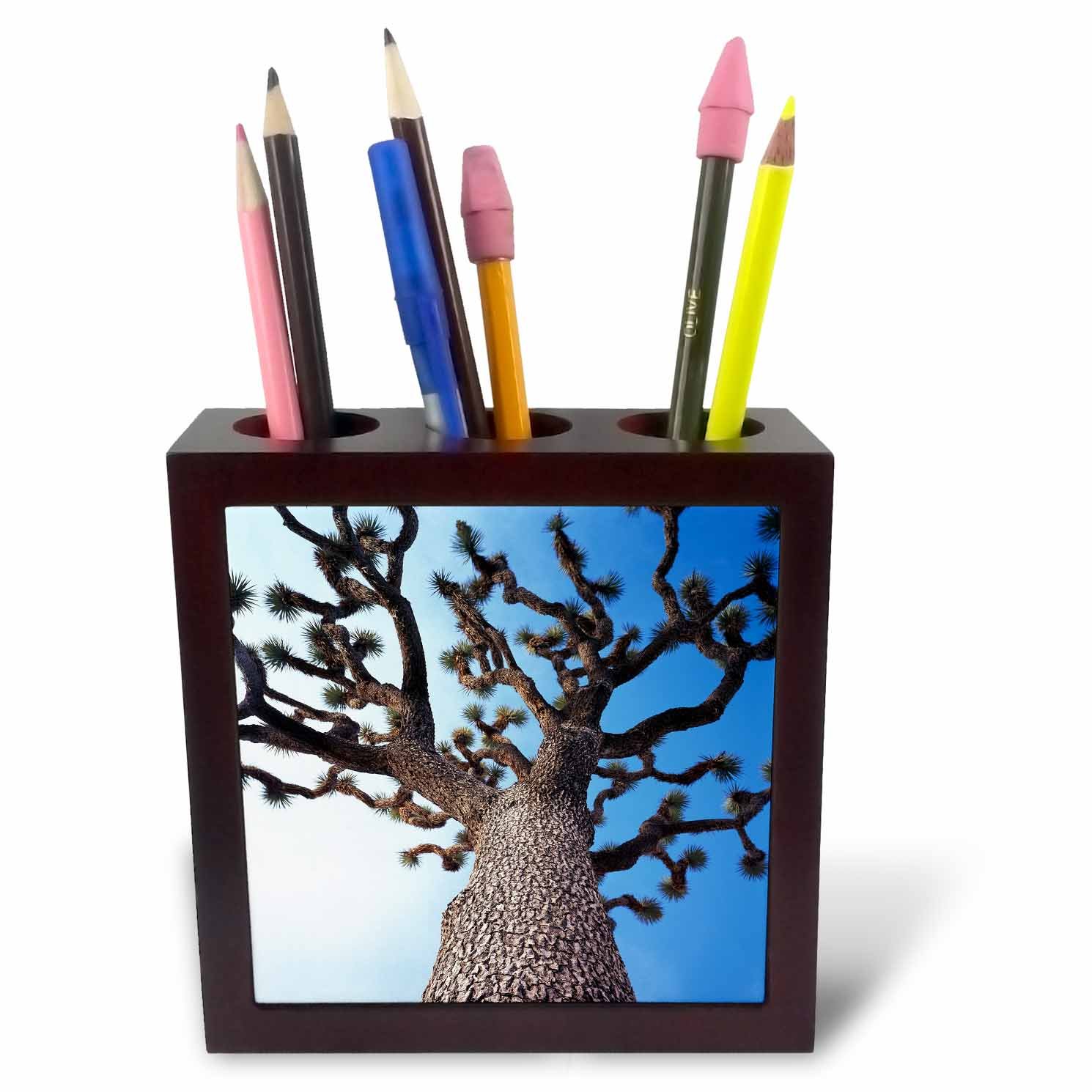 3dRose ph_230007_1 5-Inch "California/Joshua Tree National Park/Joshua Tree" Tile Pen Holder