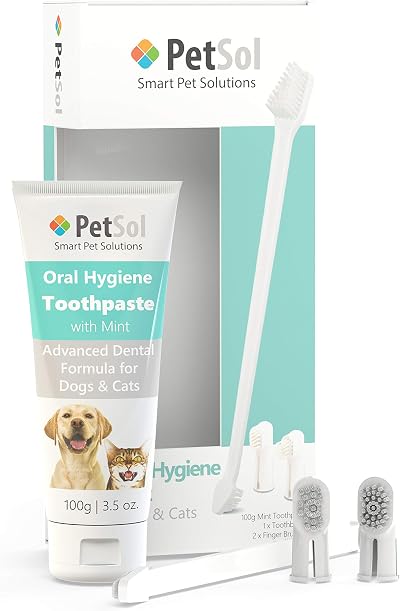 PetSol Dental Care Kit for Dogs & Cats Toothpaste 100g with 3 Brushes