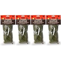 Fluker's Live Moss For Hermit Crabs - 4 Pack, 0.5 Oz Each, For Habitat Decoration & Moisture - View #7