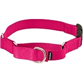 PetSafe Martingale Quick-Snap Dog Collar, Raspberry Pink, 3/4 in, Small | Tightens When Dog Pulls, Loosens When Calm for a Secure, Escape-Resistant Fit, Durable Nylon, Quick-Snap Buckle