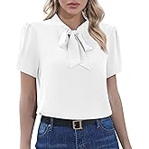 CZYINXIAN Womens Dressy Chiffon Blouse Business Work Casual Tie Neck Shirt Tops