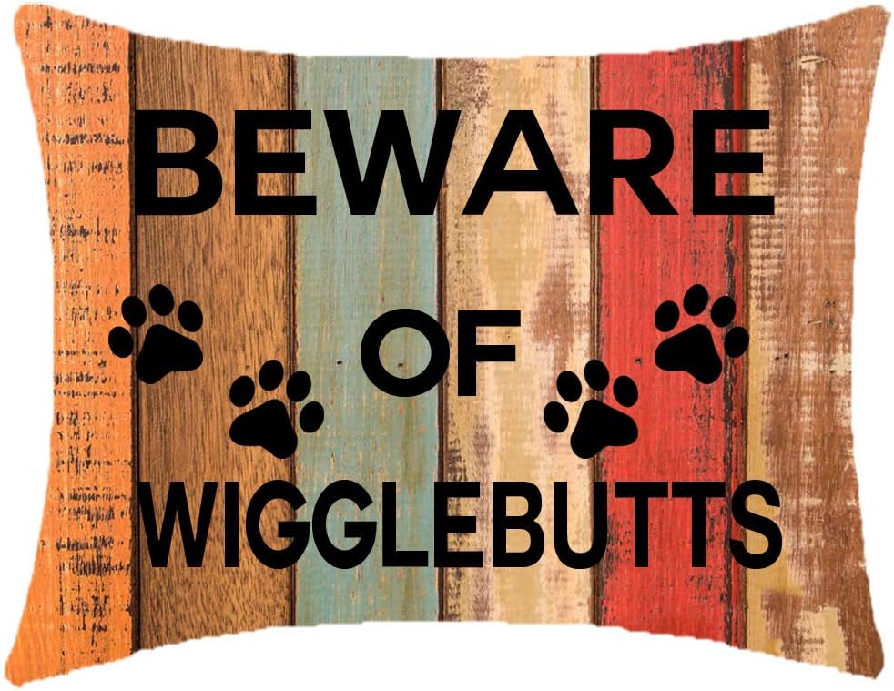 Best Sofa Cover For Dogs Pawprint