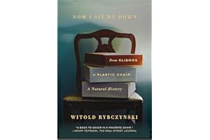 Now I Sit Me Down: From Klismos to Plastic Chair: A Natural History