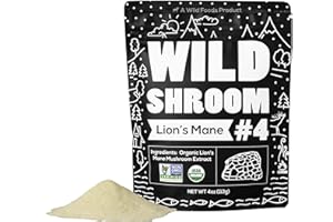 Wild Foods Lions Mane Powder Mushrooms Extract 10:1 | Organic Mushroom Powder | Adaptogenic Nootropic Herb for Brain Health, Memory and Focus(4 Ounce)