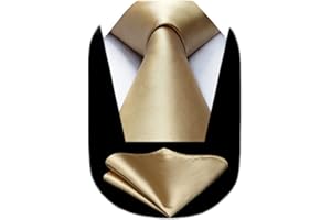 Mens Solid Satin Tie Champagne Classic Necktie and Pocket Square Set with Gift Box by HISDERN