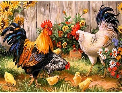 Amazon Com Mobicus 5d Diy Diamond Painting By Number Kits Chicken Coop 45x35cm 18x14inch
